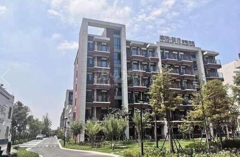 上海臨港新片區力作—臨港現代服務業開放區寫字樓招商大全